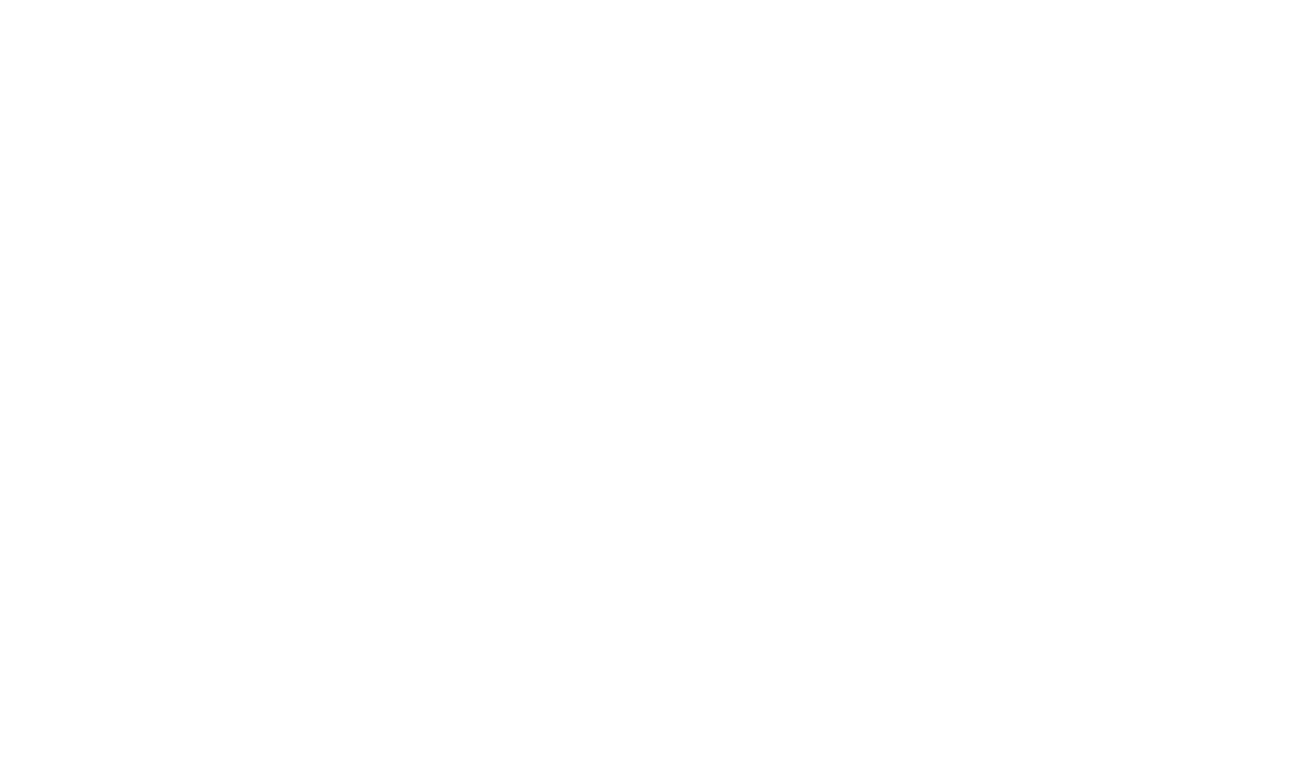 customcolor_logo_transparent_background-e1738816370166-scaled